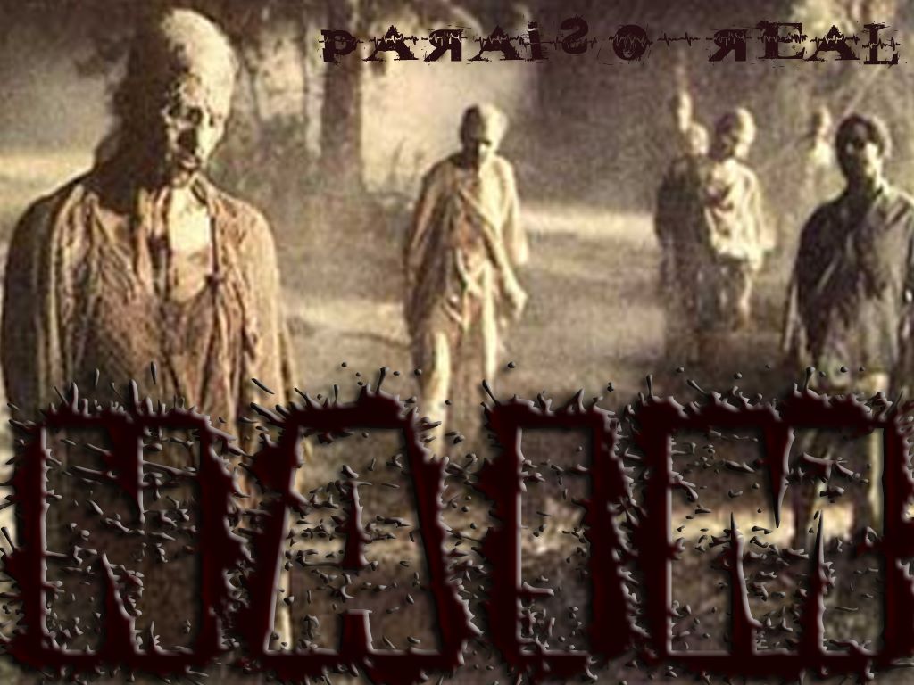 NAIM “Paraíso Real”