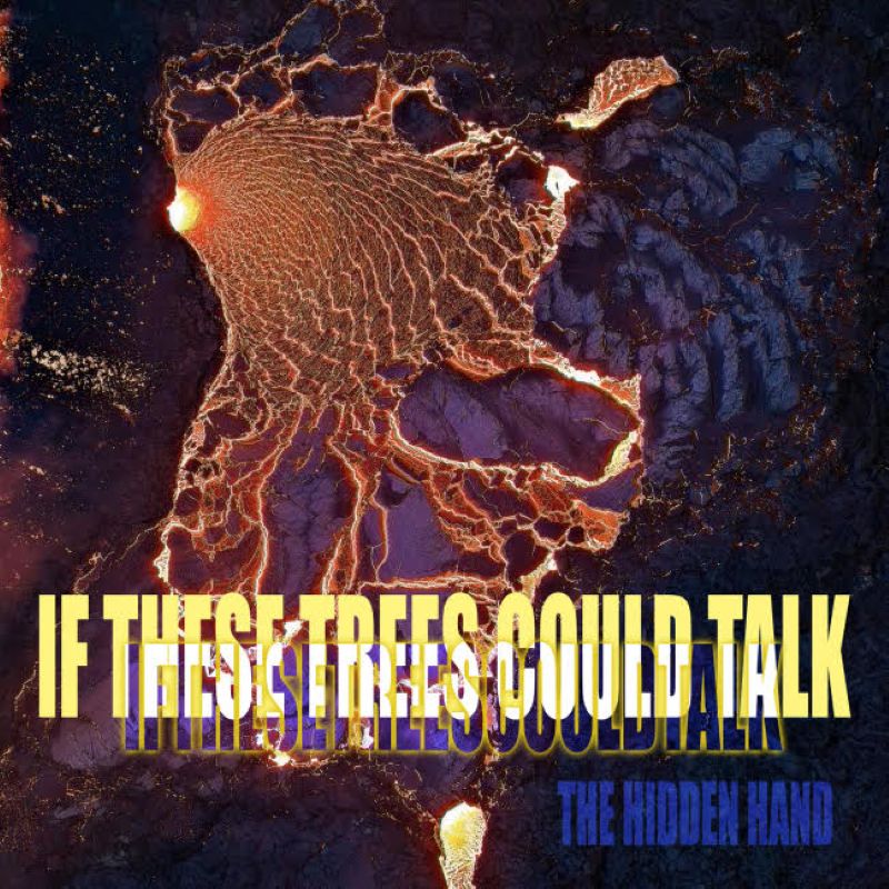IF THESE TREES COULD TALK – The Hidden Land